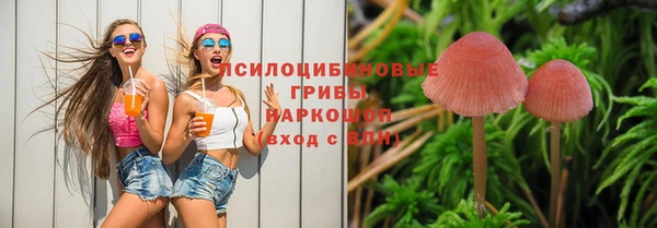 скорость Михайлов