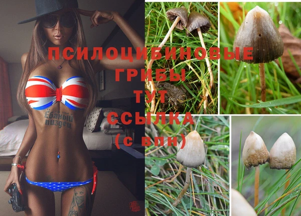 спиды Мегион