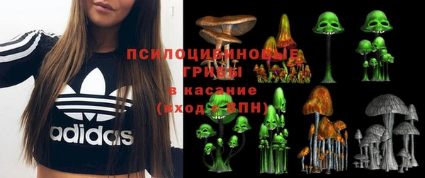 альфа пвп Новочеркасск