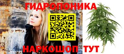 твердый Канаш