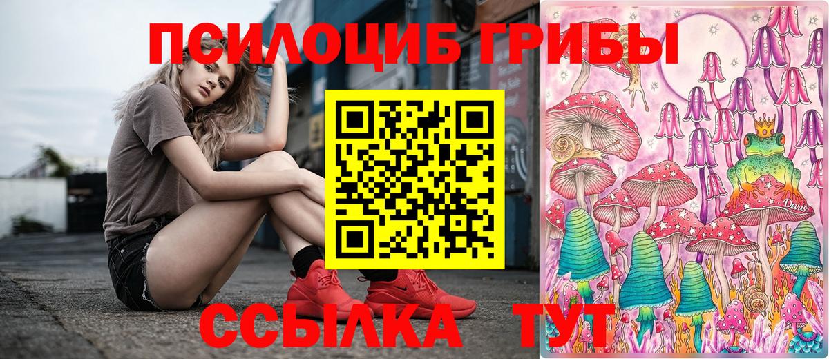 где продают   Вход с VPN  Прокопьевск  Псилоцибиновые грибы Magic Shrooms 