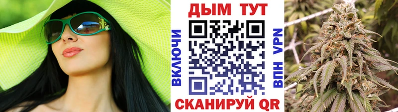 Шишки марихуана сатива Прокопьевск