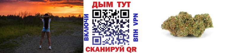 Шишки марихуана конопля  купить наркоту  Прокопьевск 